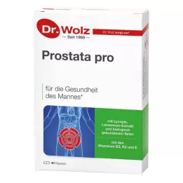 PROSTATA PRO Dr.Wolz capsules, 2X20 stuks