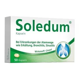 SOLEDUM 100 mg maagsapresistente capsules, 50 stuks