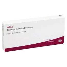 DISCI/Rhus toxicodendron comp. Ampullen, 10X1 ml