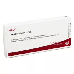 HEPAR SULFURIS COMP.Ampullen, 10X1 ml