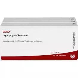 HYPOPHYSIS/STANNUM ampoules, 50x1 ml