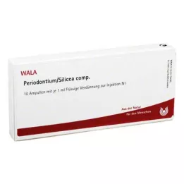 PERIODONTIUM/SILICEA comp. ampullen, 10X1 ml