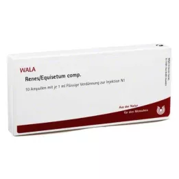 RENES/EQUISETUM comp. ampullen, 10X1 ml