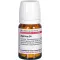 AGARICUS D 4 tabletten, 80 st