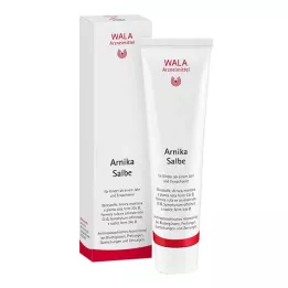 ARNIKA ZALF, 100 g