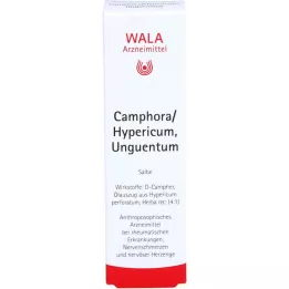 CAMPHORA/HYPERICUM unuentisme, 30 g