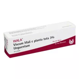 VISCUM MALI en plant totaal 3% Zalf, 30 g