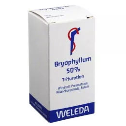 BRYOPHYLLUM 50% poeder voor oraal gebruik, 20 g