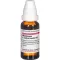 MANDRAGORA E radice siccata D 6 Verdunning, 20 ml