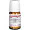 ACTAEA SPIC D 6, 80 st