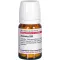 Aesculus D30, 80 st