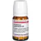 Eupatorium Perf D10, 80 st