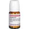 GRAPHITES D 15 tabletten, 80 st