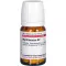 MYRTILLOCACTUS D 2 tabletten, 80 st