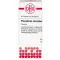 PHOSPHORUS AMORPHUS D 8 tabletten, 80 st