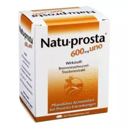 NATUPROSTA 600 mg uno filmomhulde tabletten, 60 stuks