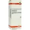 HYPERICUM D 6 verdunning, 50 ml