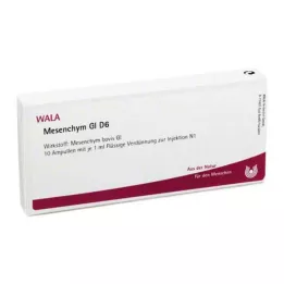 MESENCHYM GL D 6 ampullen, 10X1 ml