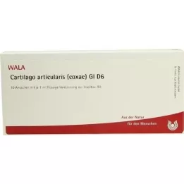 CARTILAGO articularis coxae GL d 6 ampullen, 10x1 ml