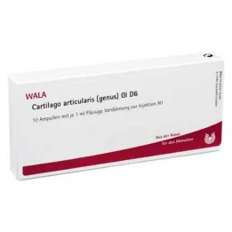 CARTILAGO articularis geslacht GL D 6 ampullen, 10X1 ml