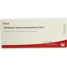 MEMBRANA sinuum paransalium GL d 12 ampullen, 10x1 ml