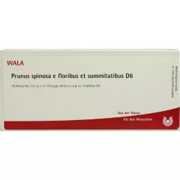PRUNUS SPINOSA E floribus en summitatibus D 6 Amp., 10X1 ml