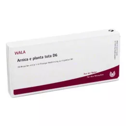 ARNICA E Planta tota D 6 ampullen, 10X1 ml