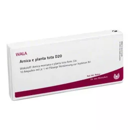 ARNICA E Planta tota D 20 ampullen, 10X1 ml