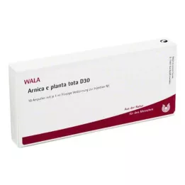 ARNICA E Planta tota D 30 ampullen, 10X1 ml