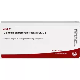 GLANDULA SUPRARENALES dextra GL D 8 ampullen, 10X1ml