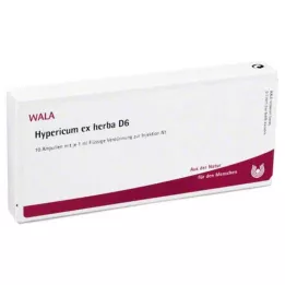HYPERICUM EX Herba D 6 ampullen, 10X1 ml