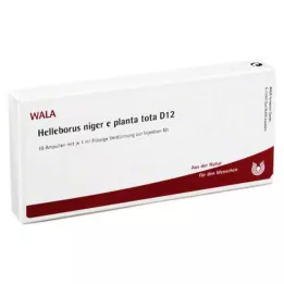 HELLEBORUS NIGER en plant totaal D 12 ampullen, 10X1 ml