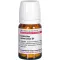 CEANOTHUS AMER D 4, 80 st