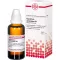 Eupatorium Perf D 4, 50 ml
