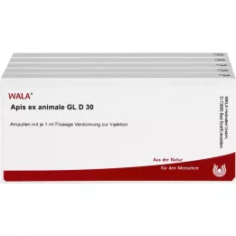 APIS EX dier GL d 30 ampullen, 50x1 ml