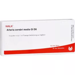 ARTERIA CEREBRI media GL D 6 ampullen, 10X1 ml