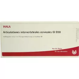 ARTICULATIONES intervertebraal cerv.GL D 30 Amp., 10X1 ml