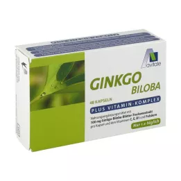 GINKGO 100 mg capsules+B1+C+E, 48 stuks