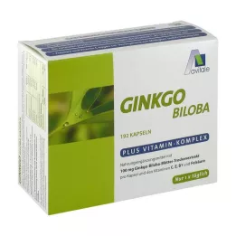 GINKGO 100 mg capsules+B1+C+E, 192 stuks