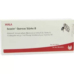 ISCUCIN Quercus Sterkte B ampullen, 10X1 ml
