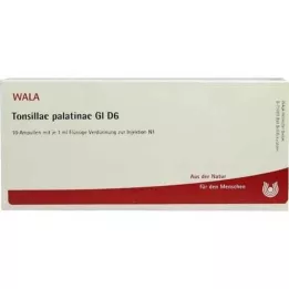 TONSILLAE palatinae GL D 6 ampullen, 10X1 ml
