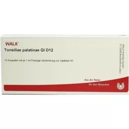 TONSILLAE Palatinae GL D 12 ampullen, 10x1 ml