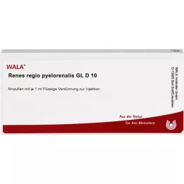 RENES REGIO pyelorenalis GL D 10 ampullen, 10X1 ml