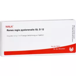 RENES REGIO pyelorenalis GL d 12 ampullen, 10x1 ml