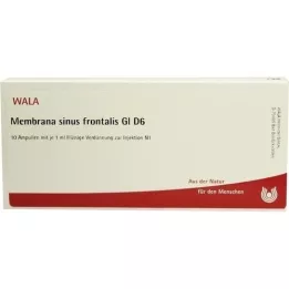 MEMBRANA frontale sinus GL D 6 ampullen, 10X1 ml