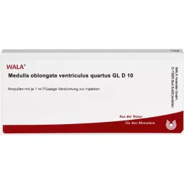 MEDULLA OBLONGATA ventriculus quartus GL d 10 amp., 10x1 ml