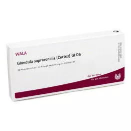 GLANDULA SUPRARENALES cortex GL D 6 ampullen, 10X1 ml