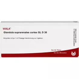 GLANDULA SUPRARENALES cortex GL d 30 ampullen, 10x1 ml