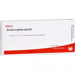 ARNICA E Planta tota D 3 ampullen, 10X1 ml