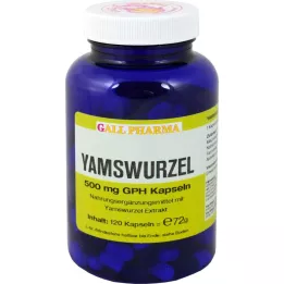 YAMSWURZEL 500 mg GPH capsules, 120 stuks